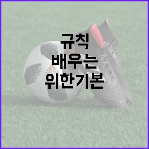 축구 초보자를 위한 기본 규칙과 기술 배우는 방법 - 요약