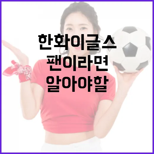 한화이글스를 즐기는 방법: 팬이라면 알아야 할 필수 정보 - 요약