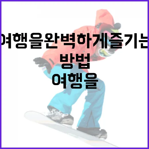 폰세 여행을 완벽하게 즐기는 방법 - 요약