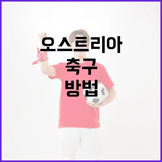 오스트리아 축구를 이해하는 방법 - 요약