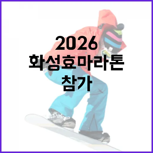 화성효마라톤 2026에 참가하는 방법과 준비 팁 - 요약