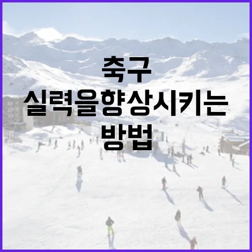 축구 실력을 향상시키는 방법 - 요약