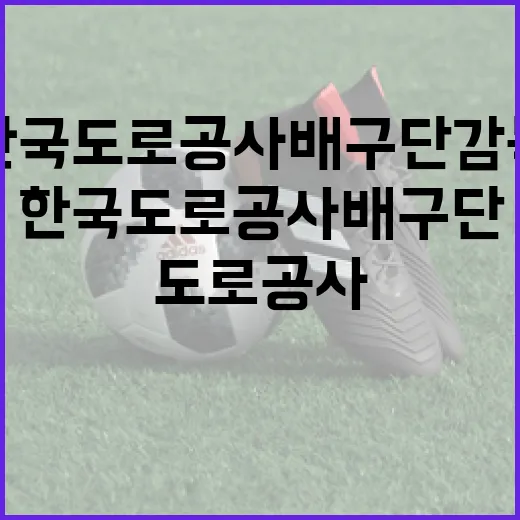 한국도로공사 배구단 감독에 대해 알아보는 방법 - 요약
