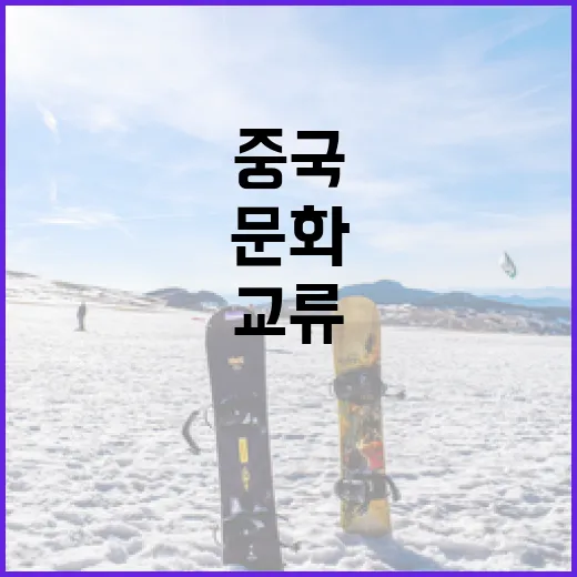 카메룬과 중국의 문화 교류 이해하는 방법 - 요약