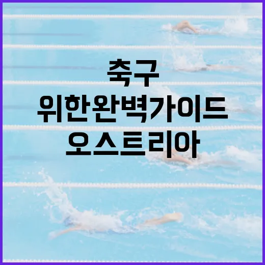 오스트리아 축구 이해하기: 팬이 되기 위한 완벽 가이드 - 요약