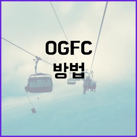 OGFC를 이해하고 활용하는 방법 - 요약