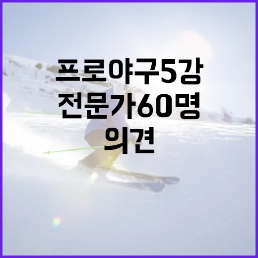 프로야구 5강을 예측하는 방법: 전문가 60명의 의견 - 요약