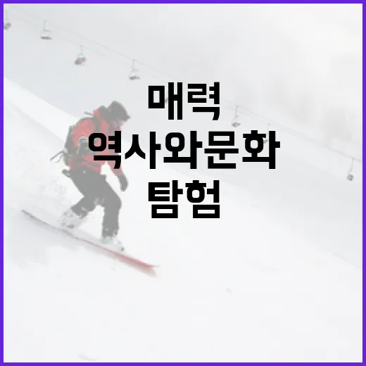 폰세의 매력을 발견하는 방법: 역사와 문화 탐험하기 - 요약