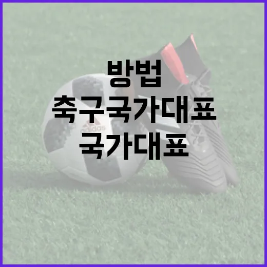 축구 국가대표가 되는 방법 - 요약