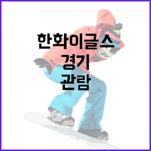 한화이글스 팬이 되려면 이렇게: 응원부터 경기 관람까지 - 요약