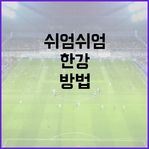 2026년에 한강에서 쉬엄쉬엄 즐기는 3가지 방법 - 요약