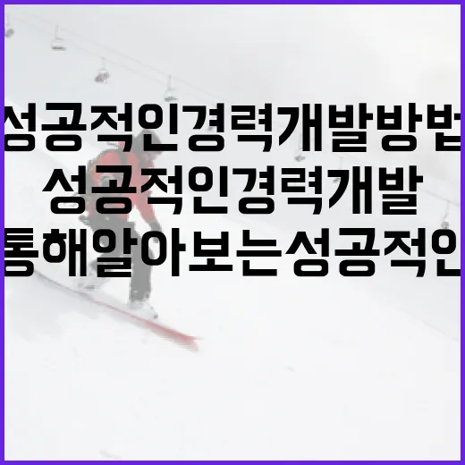 김도영을 통해 알아보는 성공적인 경력 개발 방법 - 요약