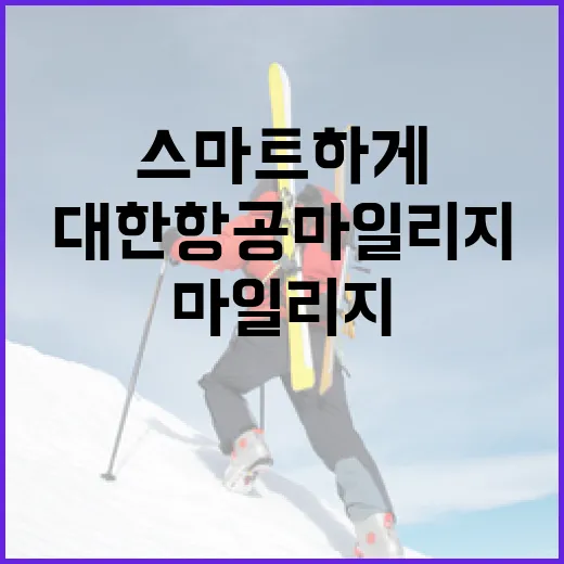 대한항공 마일리지로 스마트하게 여행하는 방법 - 요약
