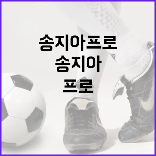 송지아 프로처럼 삶을 즐기는 방법 - 요약