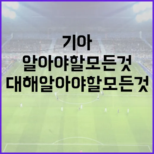 기아 김태형에 대해 알아야 할 모든 것 - 요약