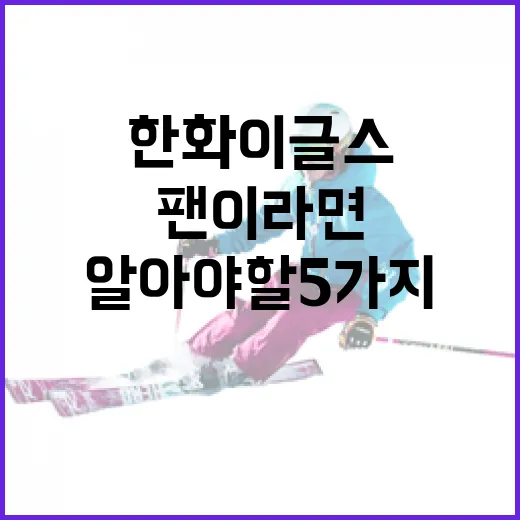 송지아 프로처럼 스타일링하는 방법 - 요약