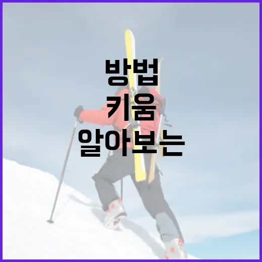 키움 배동현에 대해 알아보는 방법 - 요약