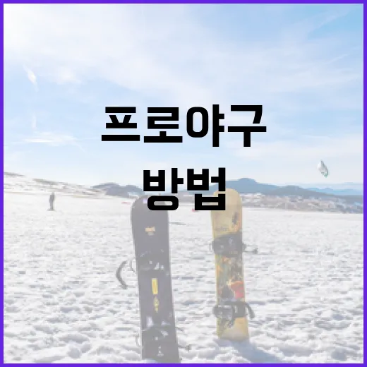 프로야구를 처음 시작하는 방법과 알아두면 좋은 팁 - 요약