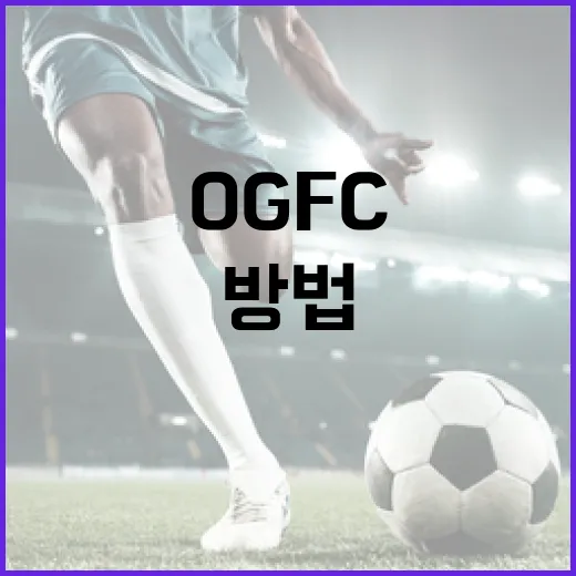 OGFC를 이해하고 활용하는 방법 - 요약