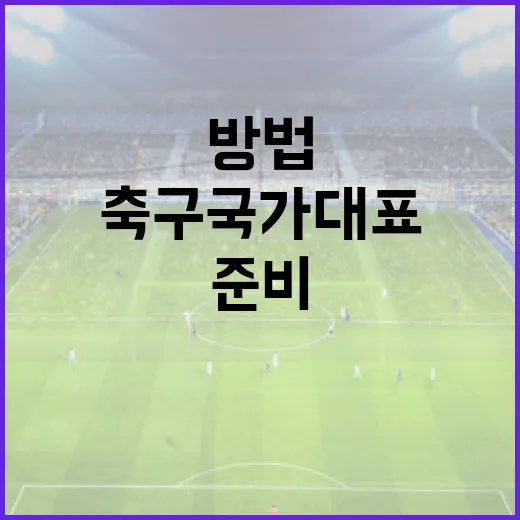 축구 국가대표가 되는 방법과 준비해야 할 것들 - 요약