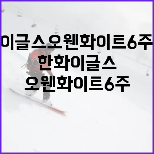 한화이글스 오웬 화이트 6주 이탈, 팀에 미치는 영향과 대처 방법 - 요약