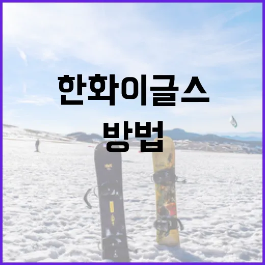 한화이글스를 응원하는 방법: 팬으로서의 즐거움 찾기 - 요약