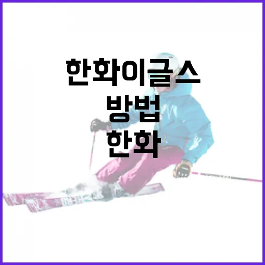 한화이글스를 더 잘 이해하는 방법 - 요약