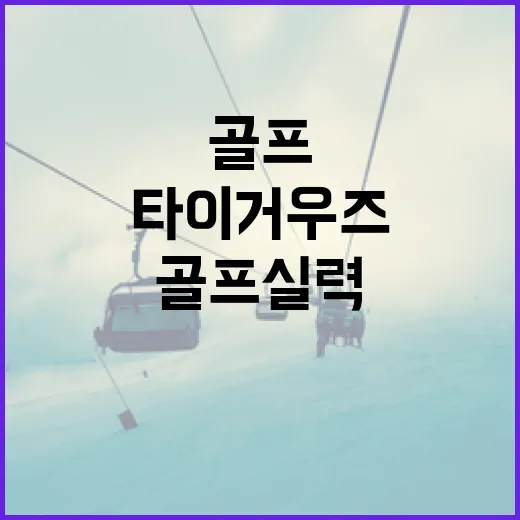 타이거 우즈처럼 골프 실력을 향상시키는 방법 - 요약