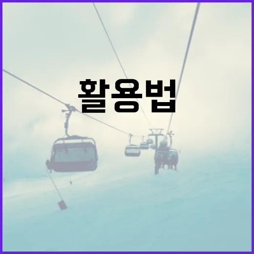 코디 폰세 활용법: 스타일링의 마법을 부리려면 - 요약