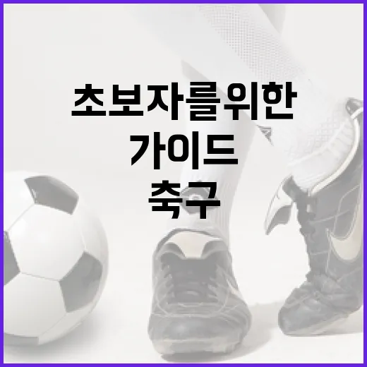 홍명보의 축구 철학 이해하기: 초보자를 위한 가이드 - 요약