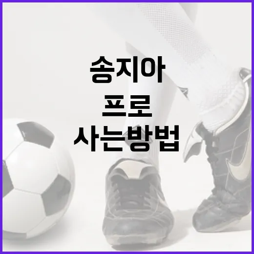 송지아 프로처럼 스타일리시하게 사는 방법 - 요약