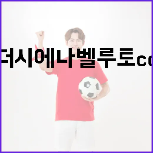 더 시에나 벨루토 CC를 즐기는 방법 - 요약