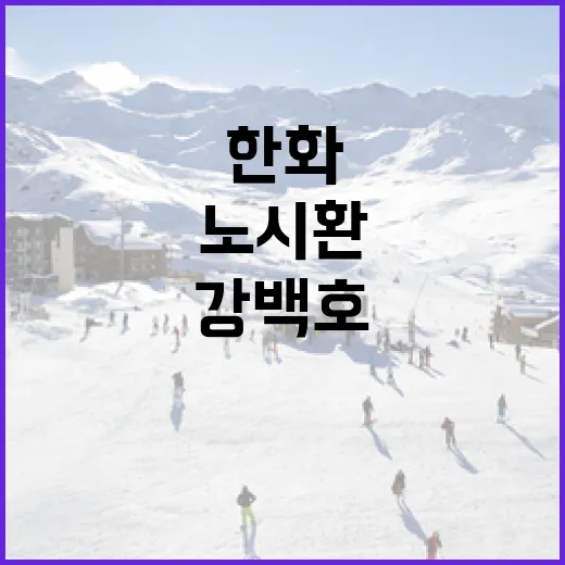 한화 강백호와 노시환을 비판적으로 이해하는 방법 - 요약