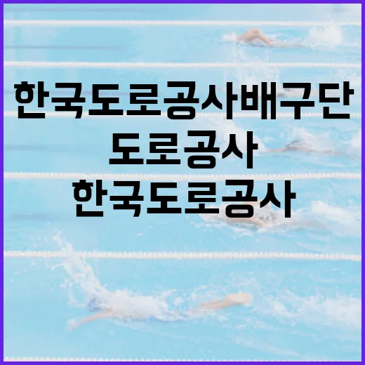 한국도로공사 배구단…