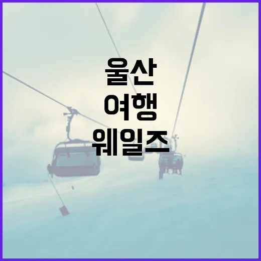 울산 웨일즈 여행을…