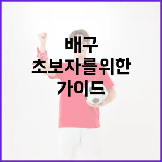 여자배구를 즐기는 방법: 초보자를 위한 가이드 - 요약