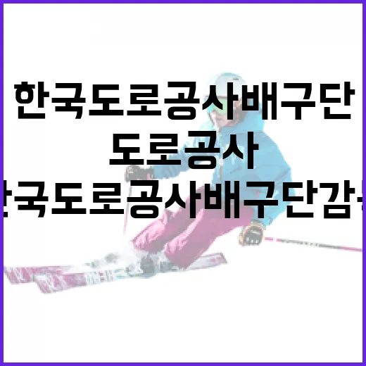 한국도로공사 배구단 감독의 역할과 성공 전략 알아보기 - 요약