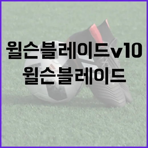 윌슨 블레이드 V10을 최대한 활용하는 방법 - 요약