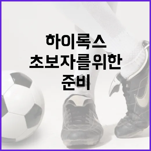 하이록스를 준비하는 방법: 초보자를 위한 가이드 - 요약