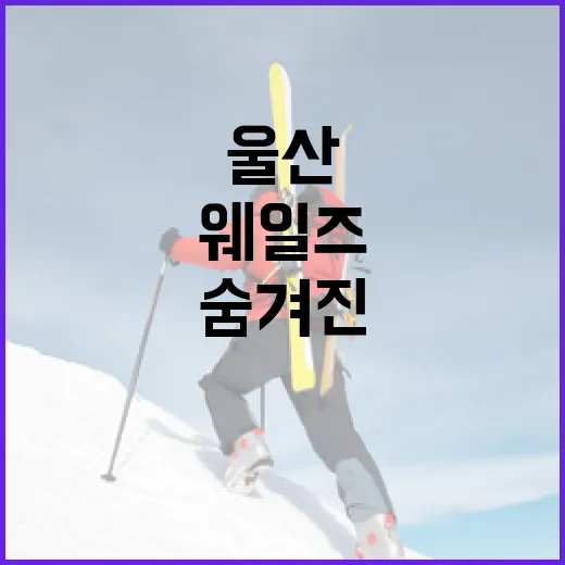 울산 웨일즈를 즐기는 방법: 숨겨진 명소와 즐길 거리 - 요약