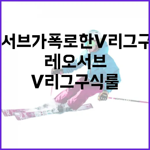 레오 서브가 폭로한…