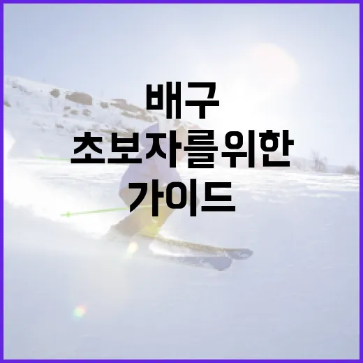 여자배구를 즐기는 …