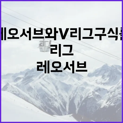 레오 서브와 V리그 구식룰 이해하는 방법 - 요약
