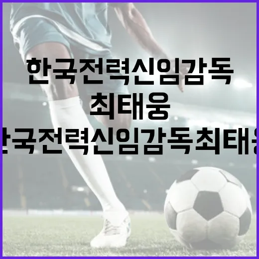 한국전력 신임 감독 최태웅: 그의 리더십을 이해하는 방법 - 요약