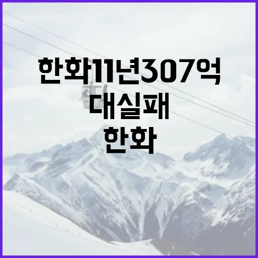 한화 11년 307억 대실패에서 배울 수 있는 교훈 - 요약