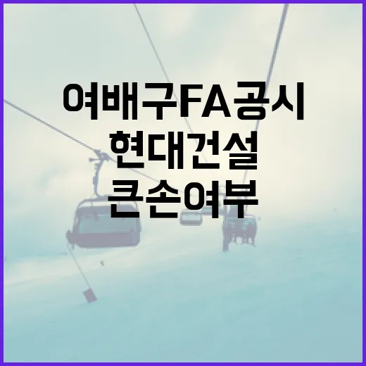 여배구 FA 공시를 이해하고 현대건설의 큰손 여부 살펴보기 - 요약