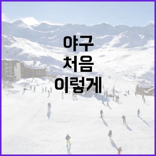 야구를 처음 시작하려면 이렇게 준비하세요 - 요약