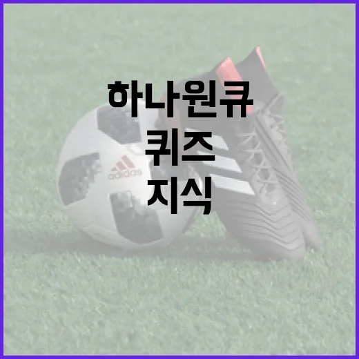 하나원큐퀴즈로 지식을 확장하는 방법 - 요약