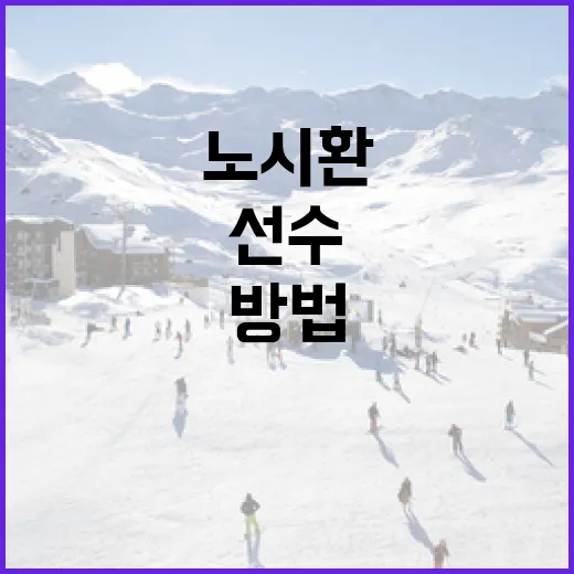 노시환 선수의 경기력을 극대화하는 방법 - 요약