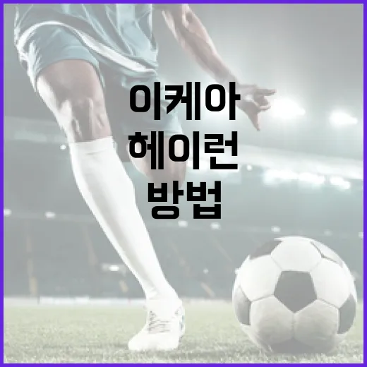 이케아 헤이런을 활용하여 공간을 더 효율적으로 사용하는 방법 - 요약